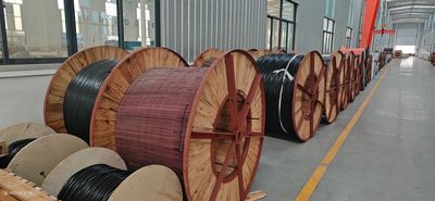 Shandong Jinyu Cable Co., Ltd. Produktionslinie des Herstellers